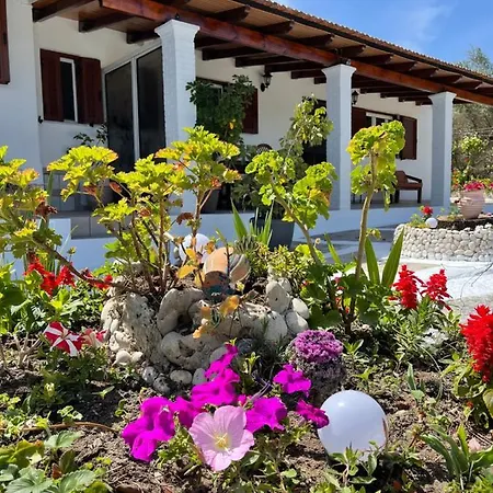 Irene By Antigone Halikounas