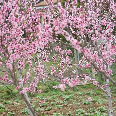 Casa vacanze Irene By Antigone