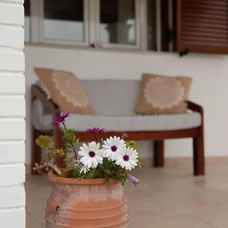 Irene By Antigone Χαλικούνας